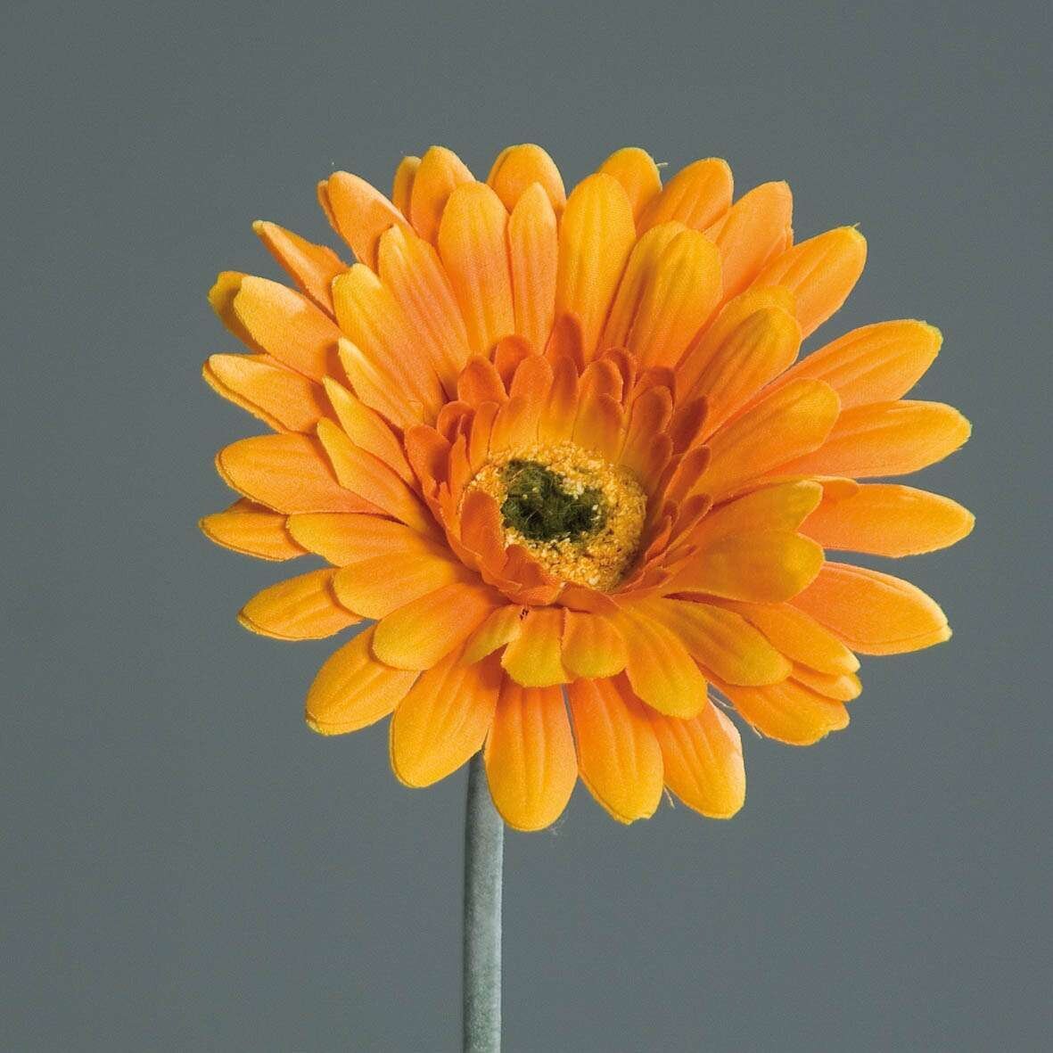 Gerbera, Einzelstielblume, künstlich
