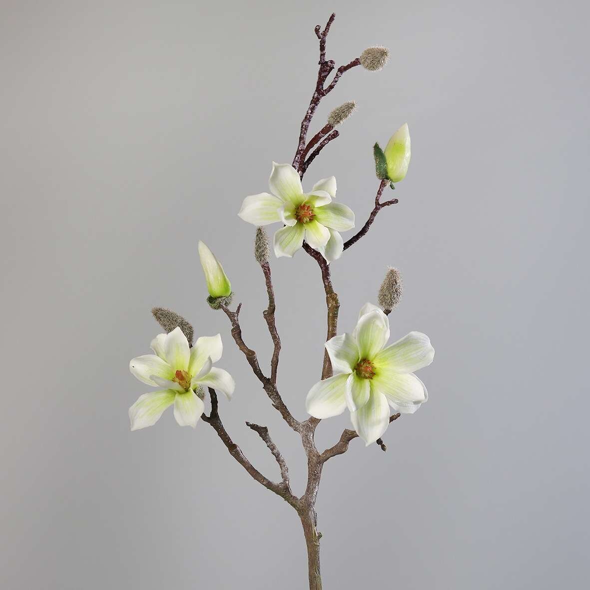 Magnolien Zweig, künstlich