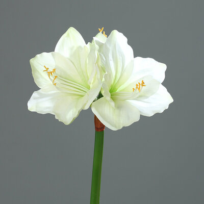 Amaryllis künstlich Bild 2