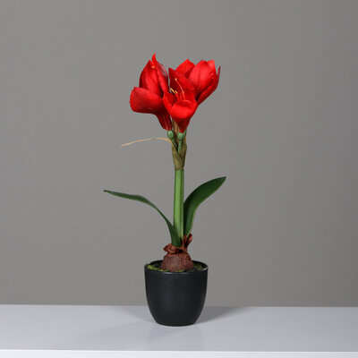 SBS Künstliche Amaryllis im schwarzen Kunststofftopf