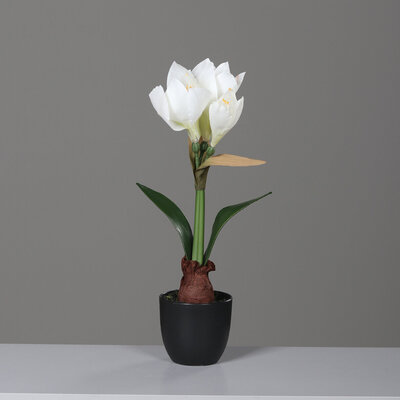 Künstliche Amaryllis im schwarzen Kunststofftopf Bild 2