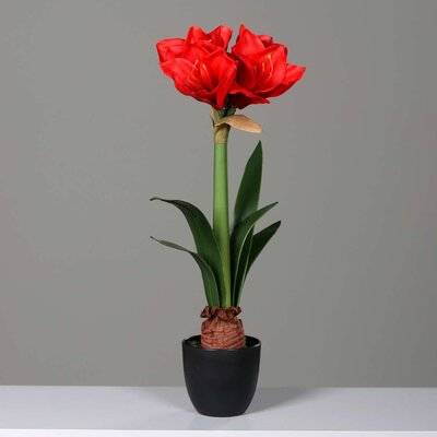 Künstliche Amaryllis im schwarzen Kunststofftopf Bild 3