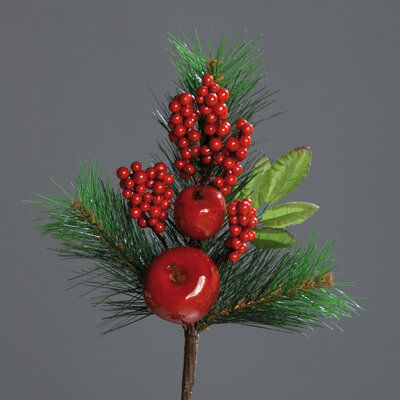 Apfel Tannen Pick Bild 2