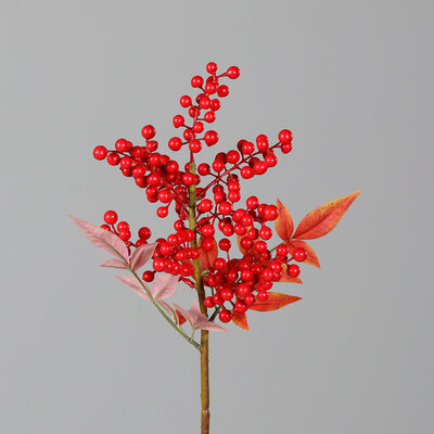 Beeren Zweig Bild 2