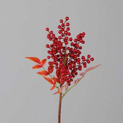 Beeren Zweig Bild 3