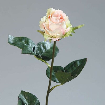 Kolumbianische Rose, künstlich Bild 3
