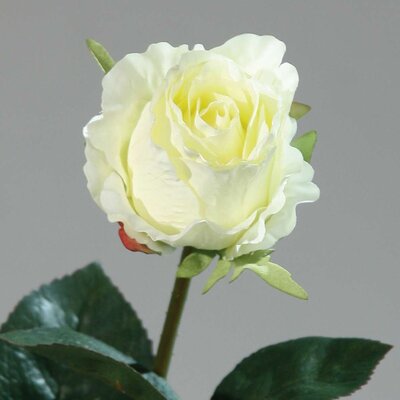 Kolumbianische Rose, künstlich Bild 2