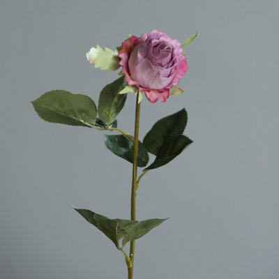Kolumbianische Rose, künstlich Bild 4