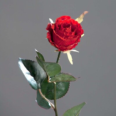 SBS Kolumbianische Rose, künstlich