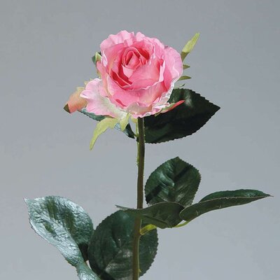 Kolumbianische Rose, künstlich Bild 5