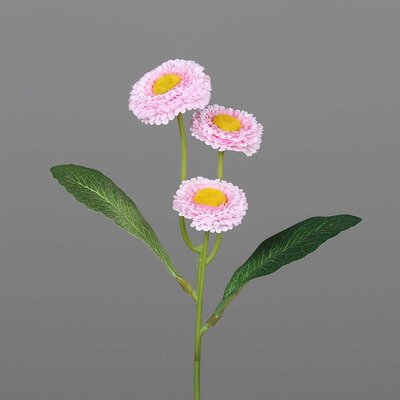 Bellis Kunstblume Bild 2