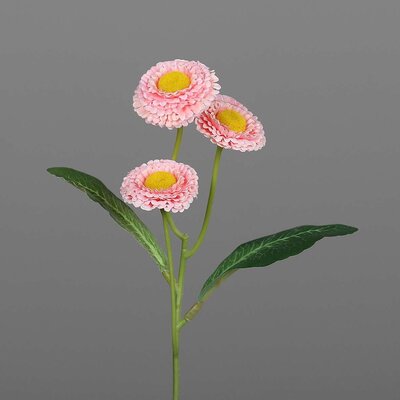 Bellis Kunstblume Bild 3