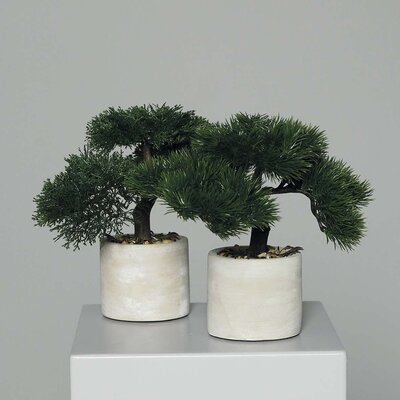 Bonsai im Steintopf Bild 2