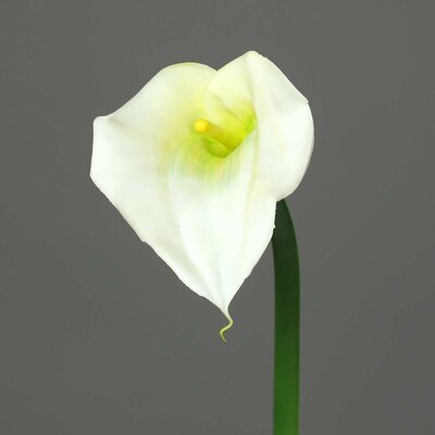 Calla mit einer Blüte, Stiel, künstlich Bild 2