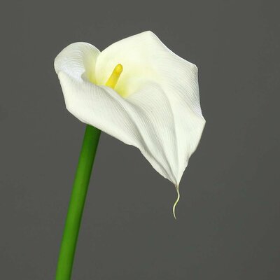 Calla mit einer Blüte, Stiel, künstlich Bild 3