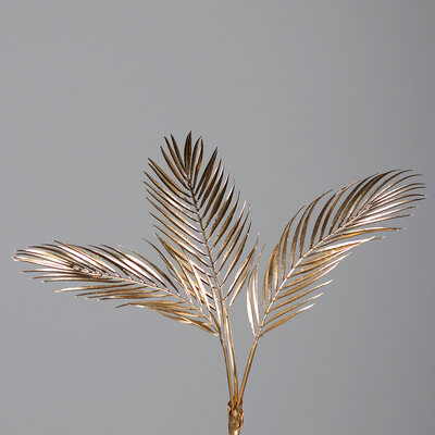 SBS Chico Zweig, gold