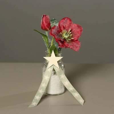Christrosen im Glas Bild 4