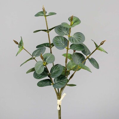 SBS Eukalyptus Bund