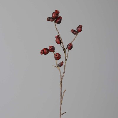 Eukalyptus Fruchtstand Zweig, künstlich Bild 2