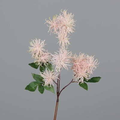 Hamamelis Zweig, künstlich Bild 2