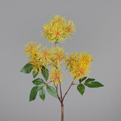 Hamamelis Zweig, künstlich Bild 3
