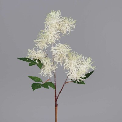Hamamelis Zweig, künstlich Bild 4