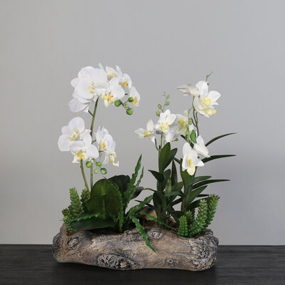 SBS Künstliche Orchideen in Holz Schale