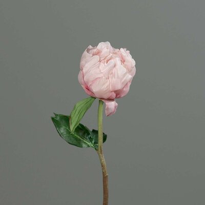 Künstliche Päonie Pfingstrose mit knospenartiger Blüte Bild 3