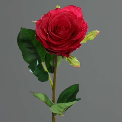 SBS Künstliche Rose, halboffen Fresh