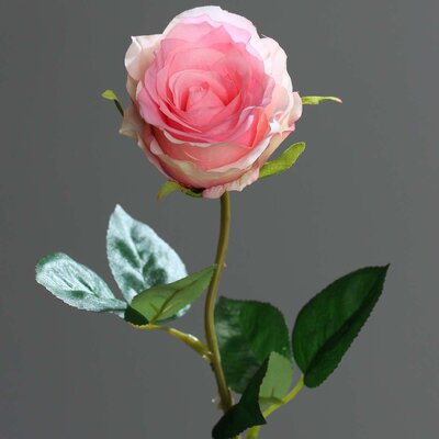 Künstliche Rose, halboffen Fresh Bild 3