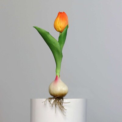 Künstliche Tulpe, aus Zwiebel gewachsen Bild 3