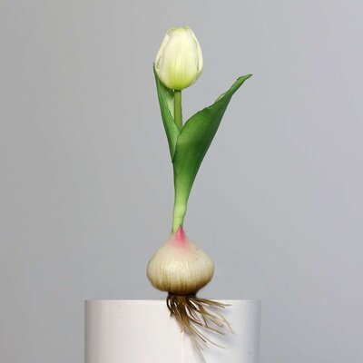 SBS Künstliche Tulpe, aus Zwiebel gewachsen