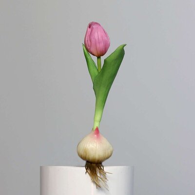 Künstliche Tulpe, aus Zwiebel gewachsen Bild 5