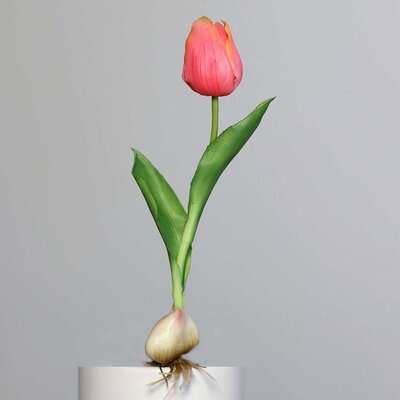 Künstliche Tulpe, aus Zwiebel gewachsen Bild 6