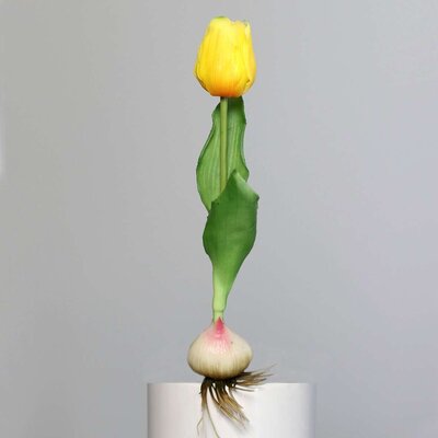 Künstliche Tulpe, aus Zwiebel gewachsen Bild 8