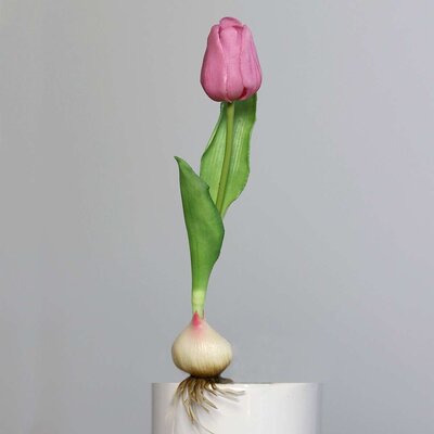 Künstliche Tulpe, aus Zwiebel gewachsen Bild 11