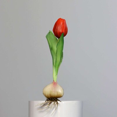Künstliche Tulpe, aus Zwiebel gewachsen Bild 13
