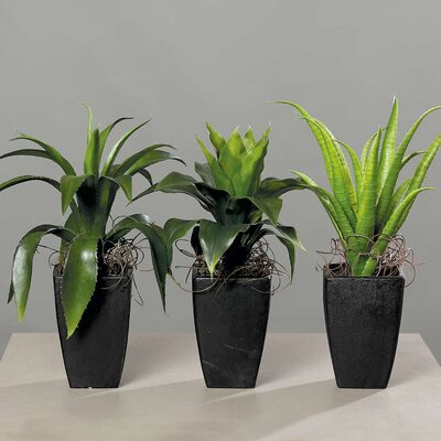 SBS Künstliche Agave in einer konischen Vase