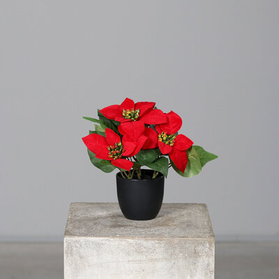 Künstlicher Weihnachtsstern im Topf, Poinsettia Bild 2