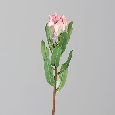 SBS Kunstblume Protea