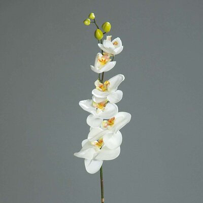 SBS Orchidee Phalaenopsis künstlich