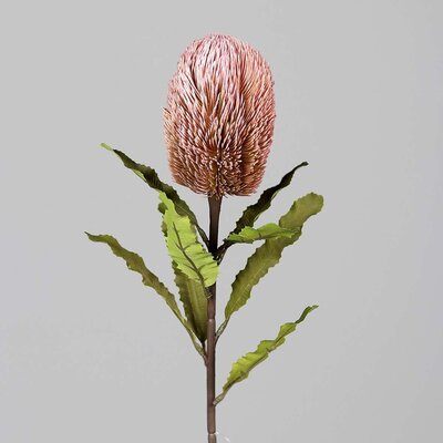Protea, fein, künstlich Bild 3