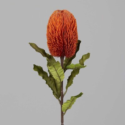 Protea, fein, künstlich Bild 4