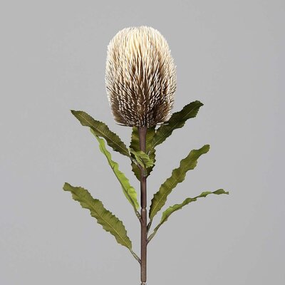 SBS Protea, fein, künstlich