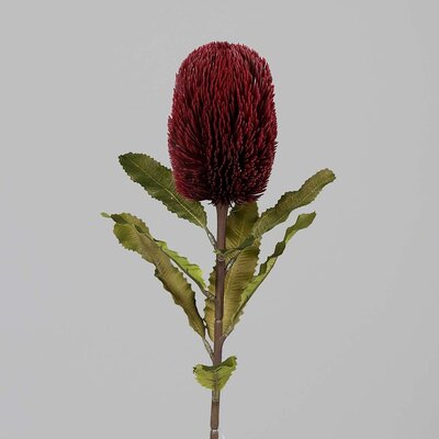 Protea, fein, künstlich Bild 2