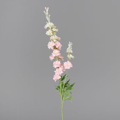 Rittersporn mit Blättern und Blüten Bild 2