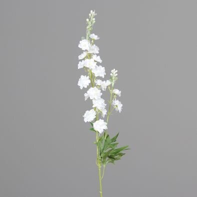 SBS Rittersporn mit Blättern und Blüten