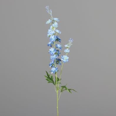 Rittersporn mit Blättern und Blüten Bild 3