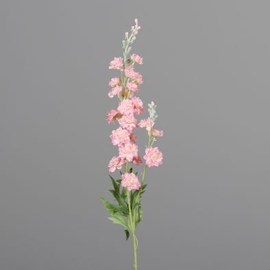 Rittersporn mit Blättern und Blüten Bild 4