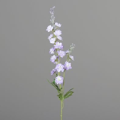 Rittersporn mit Blättern und Blüten Bild 5